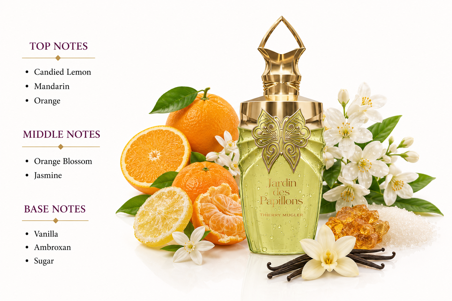 Jardin des Papillons Eau de Parfum 100ml by Paris Corner