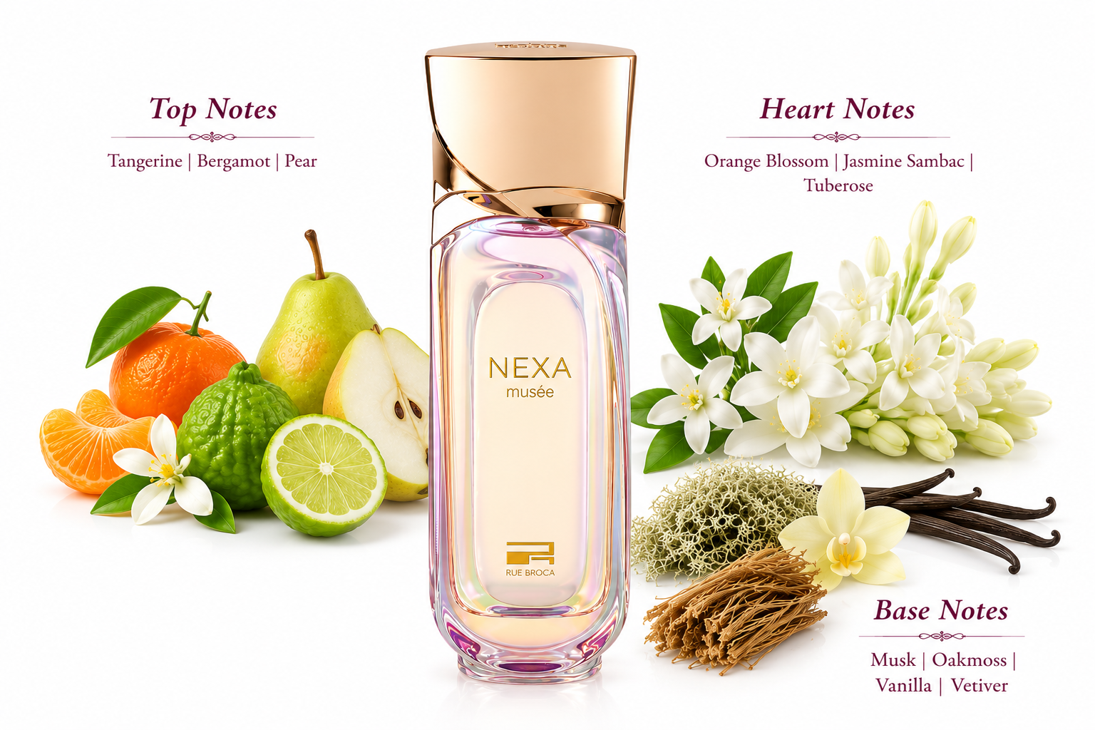 Nexa Musée Eau de Parfum 100ml by Rue Broca